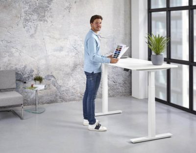 Ergonomic electric adjustable sit/stand desk Teez
