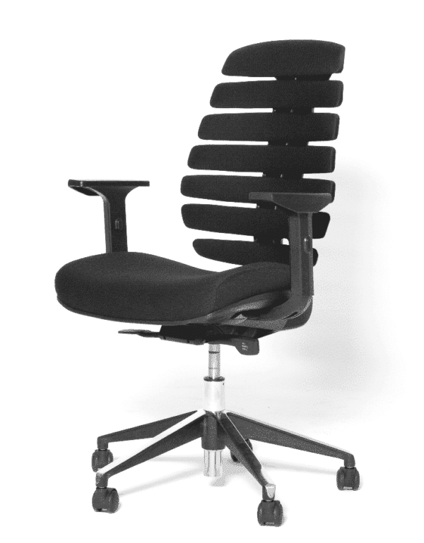 Ergonomische bureaustoel 101 model Ruggengraatstoel