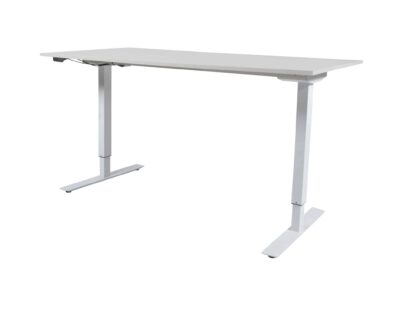 Lectro Basic electric sit/stand desk