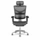 X-Chair Bürostuhl X2 Grau mit Kopfstütze